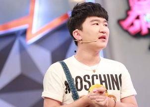 明星歌手差,揭秘明星歌手的辉煌历程