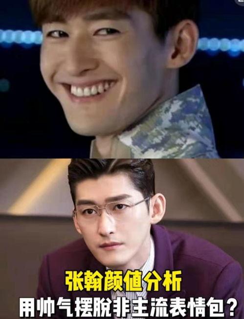 张翰动物表情包,萌态百出，趣味横生