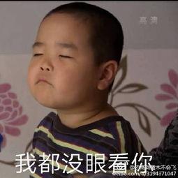 胖墩小男孩表情包