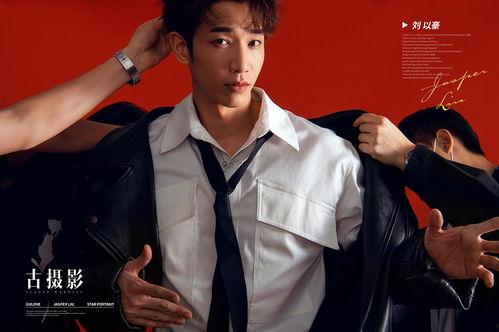 刘以豪照片,光影交织下的魅力演绎