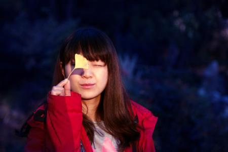 光影电视剧演员表,电视剧演员表中的璀璨星辰